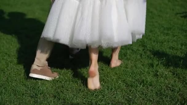 Young wedding couple walking in park. Bride and groom at summer — Stock Video