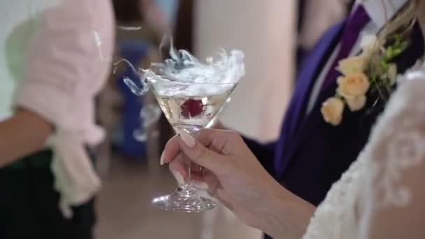 Person holding glass of wine or champagne or other alcohol drink in hand at the party. — Stock Video