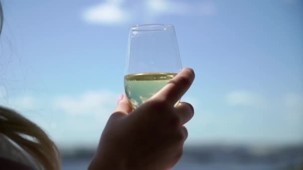 Persoon met een glas wijn, champagne of andere alcoholische drank in de hand — Stockvideo