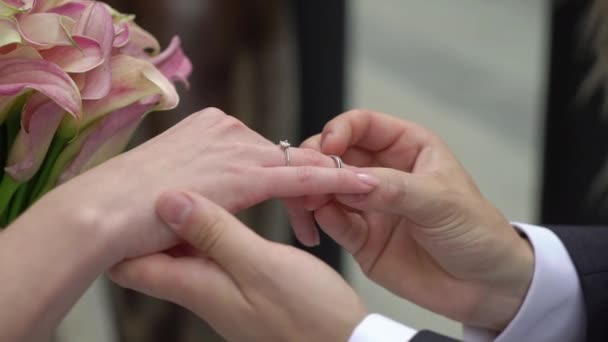 Bride and groom exchange wedding rings at ceremony. Lovely couple — Stock Video