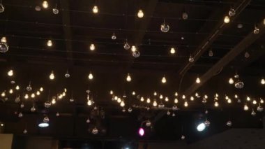 Çiçekli bir ampul. Madalyalı ışık