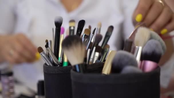 Professionele kit van make-up borstels. Set voor make-up artiest. — Stockvideo