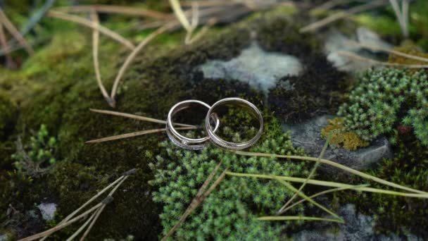 Wedding rings. Pair of marriage symbols. Love of bride and groom becoming wife and husband. Matrimony symbol. — Stock Video