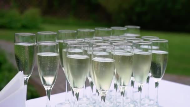 Champagne i glas och flaska på festen. Alkoholdrycker och drycker — Stockvideo