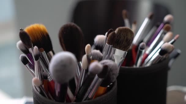 Professionele kit van make-up borstels. Set voor make-up artiest. — Stockvideo