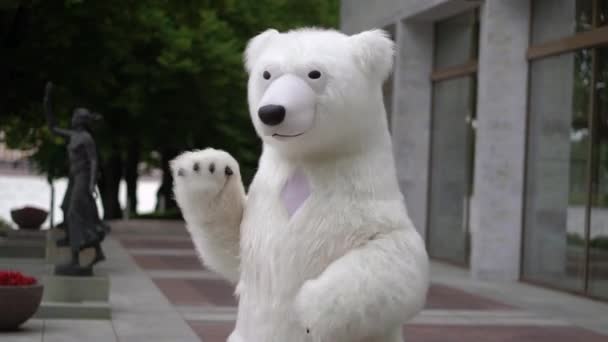 Osoba v kostýmu bílého medvěda. Polární medvěd loutka venku — Stock video