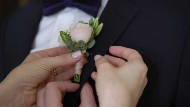 Bride put on boutonniere for groom. Wedding ceremony preparation — Stock Video