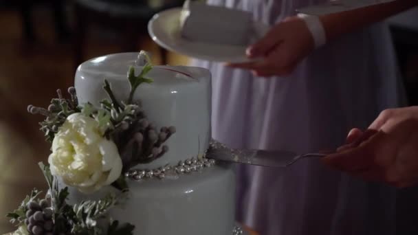 Весільний торт. Традиційний святковий десерт на вечірці. Наречена і наречений вирізали шматочок — стокове відео