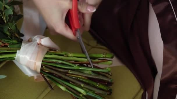 Mladá žena krájí růže nůžkami. Prořezávání červených květin — Stock video