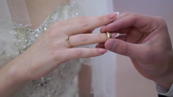 Novia y novio intercambian anillos de boda en la ceremonia. Hermosa pareja. — Vídeo de stock