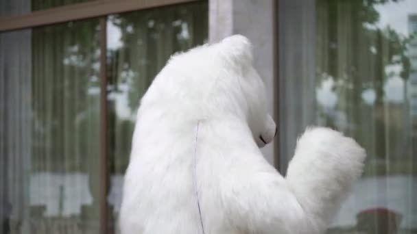 सफेद भालू की पोशाक वाला व्यक्ति। पोलर भालू गुड़िया आउटडोर — स्टॉक वीडियो