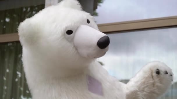 Beyaz ayı kostümü giymiş biri. Kutup ayısı kuklası. — Stok video
