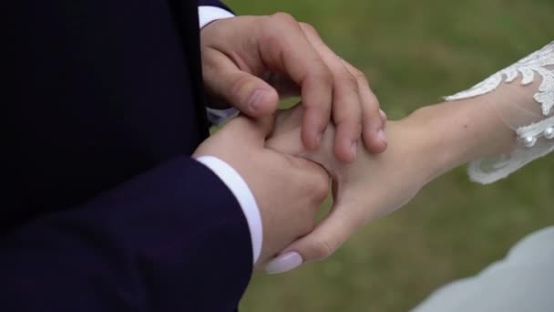 Pareja de bodas en un parque. Novia y novio tomados de la mano — Vídeos de Stock