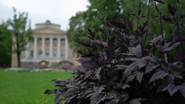 Reserve palace in Tsarskoye selo, Pushkin, Russia near Saint-Petersburg. — Stock Video