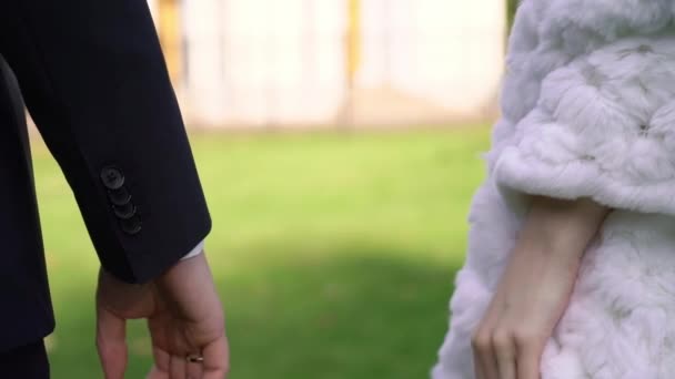 Bruidspaar in een park. Bruid en bruidegom hand in hand — Stockvideo