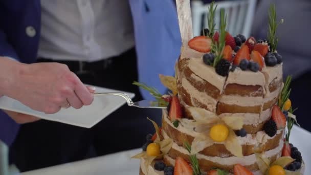 Wedding cake. Traditional celebration dessert at the party. Bride and groom cut piece — Stock Video