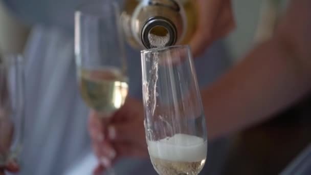 Champagne i glas och flaska på festen. Alkoholdrycker och drycker — Stockvideo