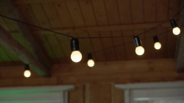 Çiçekli bir ampul. Madalyalı ışık