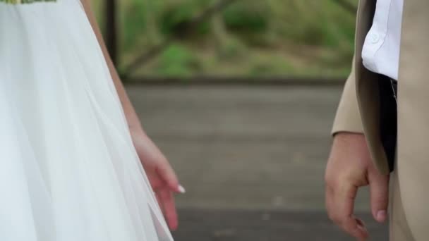Wedding couple in a park. Bride and groom holding hands — Stock Video