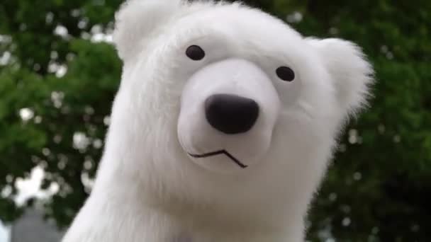 Persona in costume da orso bianco. burattino orso polare all'aperto — Video Stock