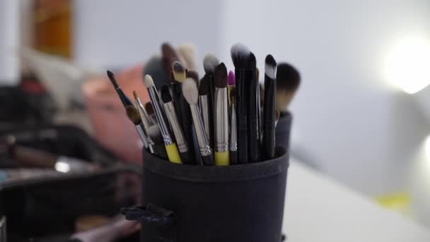 Kit profesional de pinceles de maquillaje. Set para maquillar artista . — Vídeos de Stock