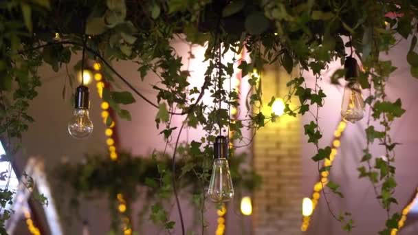 Lamp bulb in garland. Decorated light — Stock Video