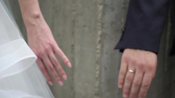 Pareja de bodas en una ciudad. Novia y novio tomados de la mano — Vídeo de stock