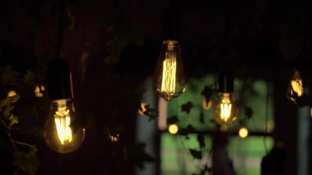 Lampadina in ghirlanda. Luce decorata — Video Stock