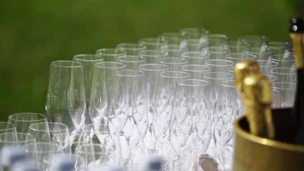 Champagne in bicchieri e bottiglia alla festa. Bevande alcoliche e bevande — Video Stock