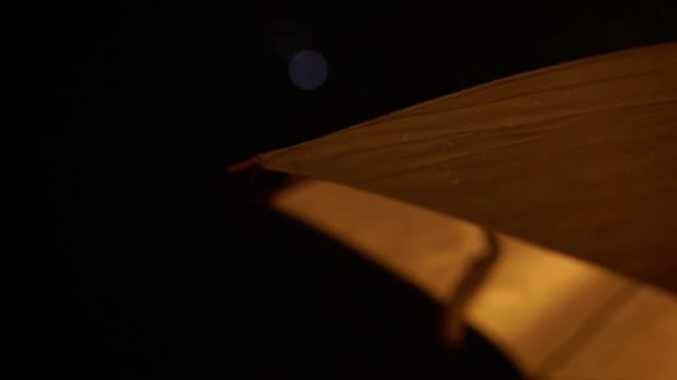 Feu d'artifice au ciel nocturne 