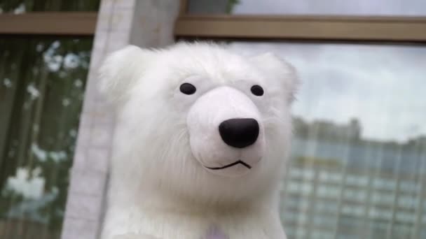 Persona in costume da orso bianco. burattino orso polare all'aperto — Video Stock