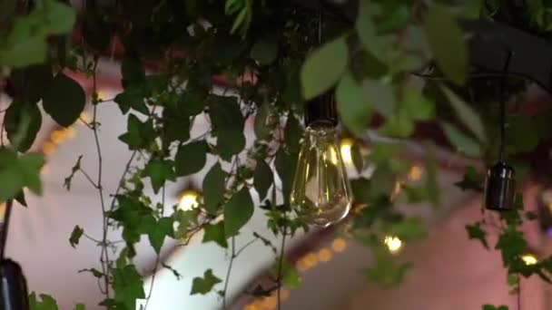 Ampoule à lampe en guirlande. Lumière décorée 