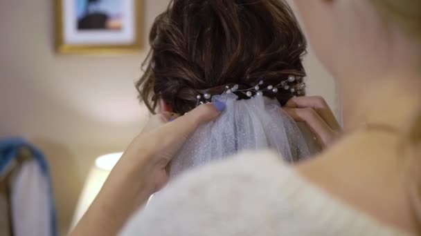 Ponte el velo en el pelo para la novia — Vídeos de Stock