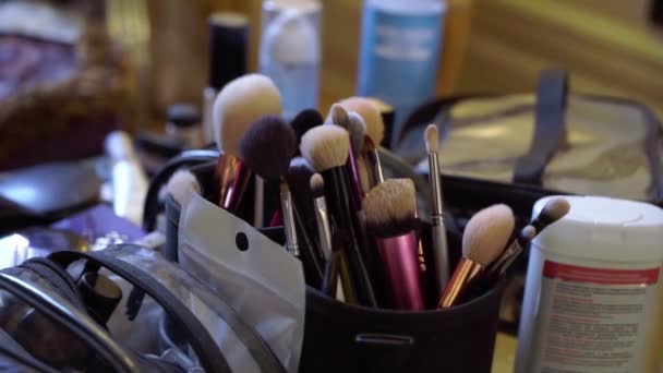 Kartáče na make-up. Profesionální mua nástroje — Stock video