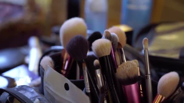 Makeup brushes. Professional mua instruments — Stock Video