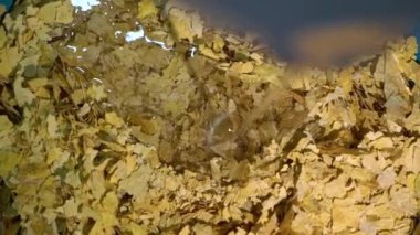 Fabrikada nargile tütününe gliserin dökülüyor.