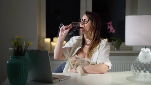 Молодая женщина работает за компьютером ноутбук в домашнем офисе в вечернее время с котом — стоковое видео