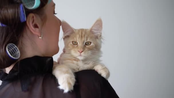 Mladá žena s natáčkami váleček na hlavě v županu s červenou mainecoon kočka — Stock video