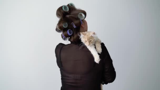 Mujer joven con rulos rodillo en la cabeza en albornoz con gato mainecoon rojo — Vídeo de stock