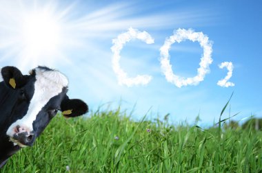 Cows breeding and CO2 emission clipart