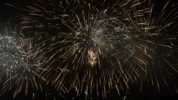 Buntes Feuerwerk, das explodiert und die Dunkelheit des Nachthimmels mit farbigem Licht erfüllt — Stockvideo