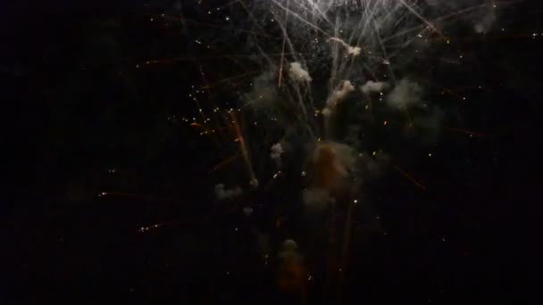 Πολύχρωμα πυροτεχνήματα που εκρήγνυνται και γεμίζουν το σκοτάδι του νυχτερινού ουρανού με χρωματιστό φως — Αρχείο Βίντεο