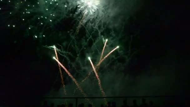 Kleurrijk vuurwerk dat explodeert en de duisternis van de nachtelijke hemel vult met gekleurd licht — Stockvideo