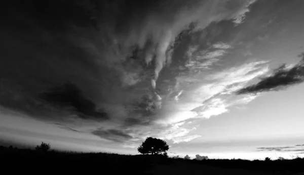 Landscape Black White Clouds Tree Center — Stock Photo, Image