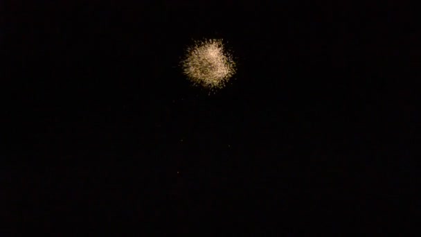 Feux d'artifice colorés qui explosent et remplissent l'obscurité du ciel nocturne de lumière colorée .