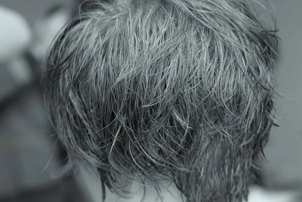 Testa Ragazza Con Modello Capelli Grigi — Foto Stock