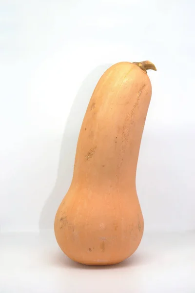 Butternut Squash Isoleret Hvid Baggrund - Stock-foto