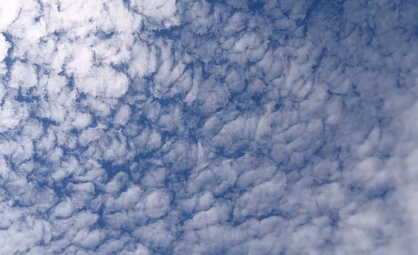 Altocumulus Flocos Globulares Compactos — Fotografia de Stock