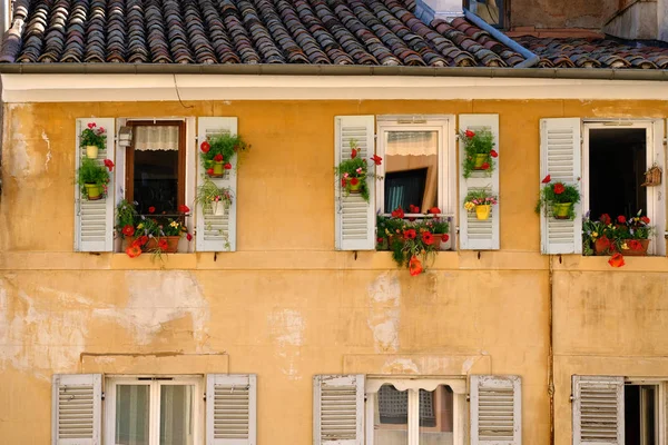 Fenêtre française avec fleurs suspendues — Photo