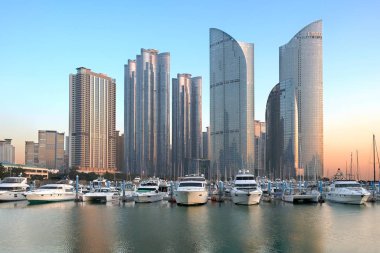Busan, Güney Kore - 09 Aralık 2019: Modern Busan, Güney Kore gökdelenleri - 14 Aralık 2019: Modern apartman binaları ve yat marinası gökdelenleri Güney Kore 'nin Busan şehrinde